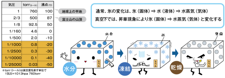 25年保存 サバイバルフーズ 「大缶」チキンシチューx3缶＋野菜シチュー